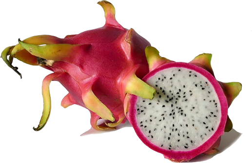 火龙果 Dragon fruit