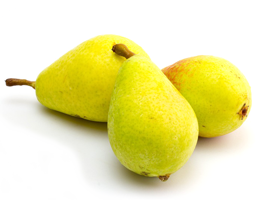 梨 Pear