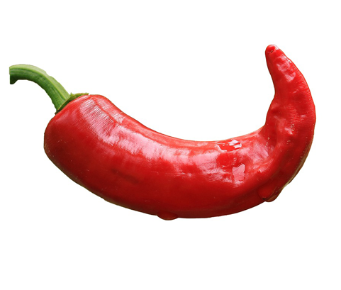 辣椒 Chili
