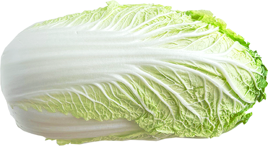 白菜 Chinese cabbage