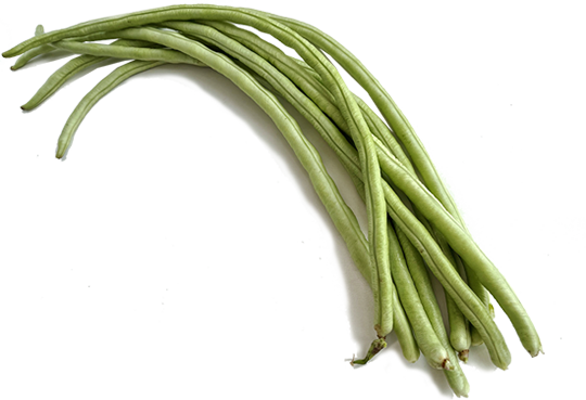 豆角 Cowpea