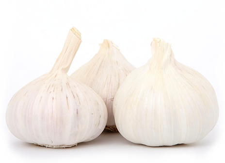 大蒜 Garlic