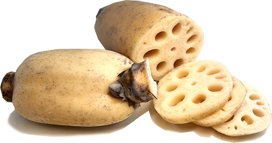 莲藕 Lotus root