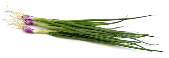 葱 Spring onion